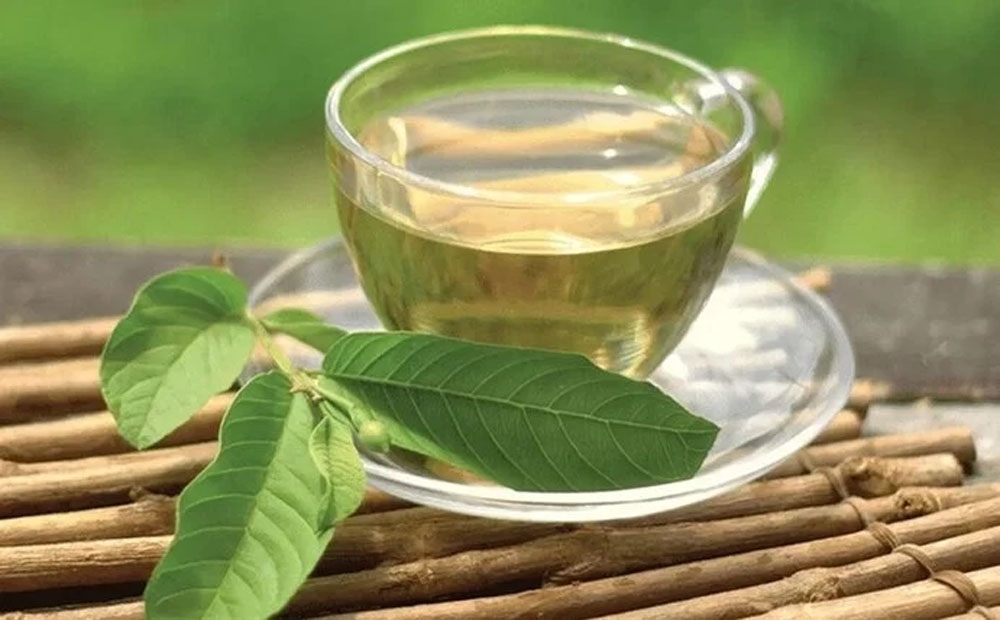 Những công dụng bất ngờ với sức khỏe từ lá ổi, nhưng không phải ai cũng dùng được