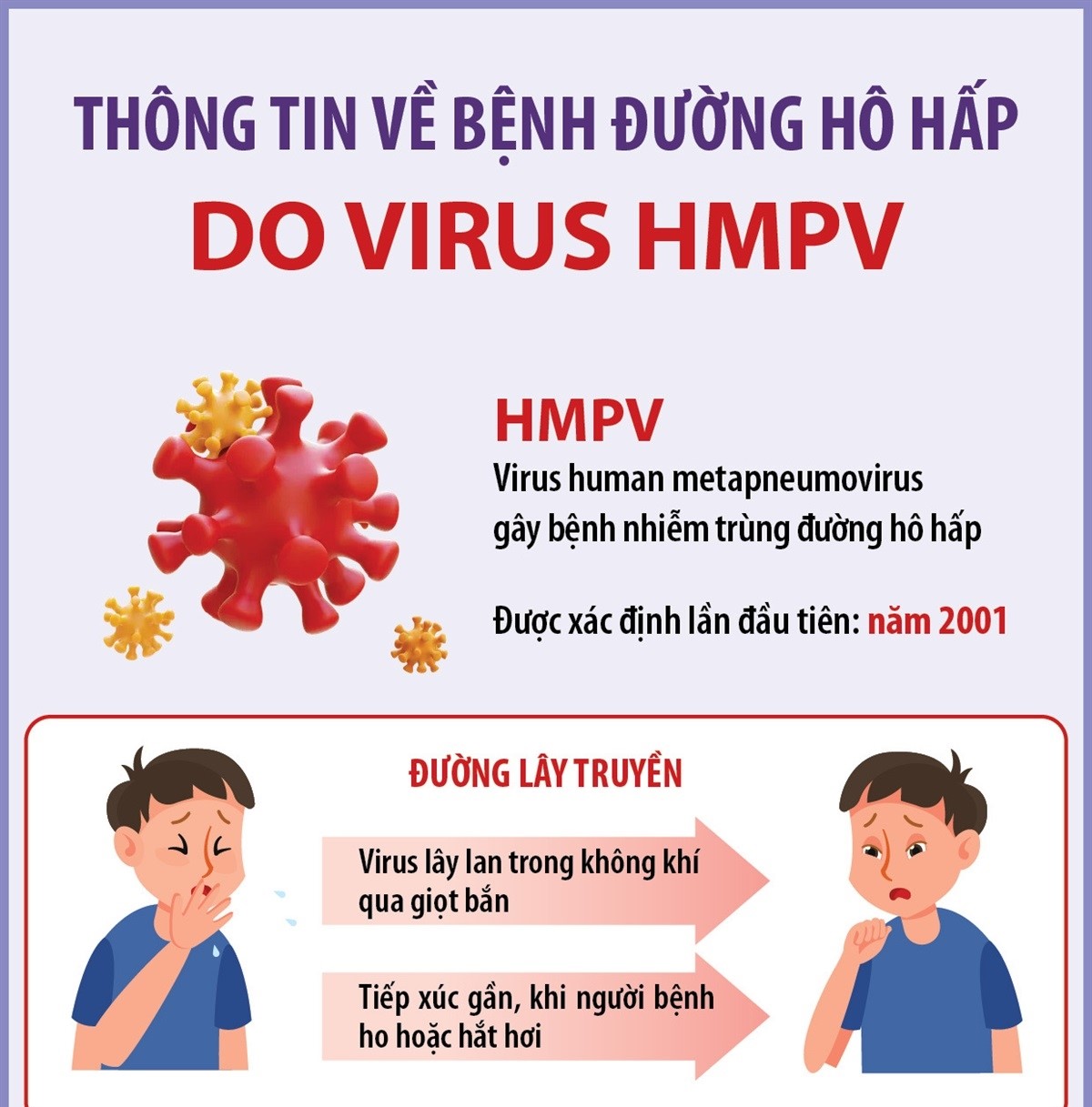Thông tin về bệnh đường hô hấp do virut HMPV